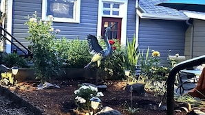 Una casa con jardín, una escultura de pájaro y una puerta roja.