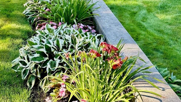 A well-maintained garden with a variety of plants and flowers, a stone pathway, and a house in the background.