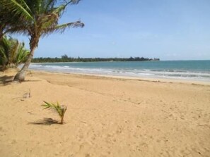 On the beach, sun-loungers, beach towels