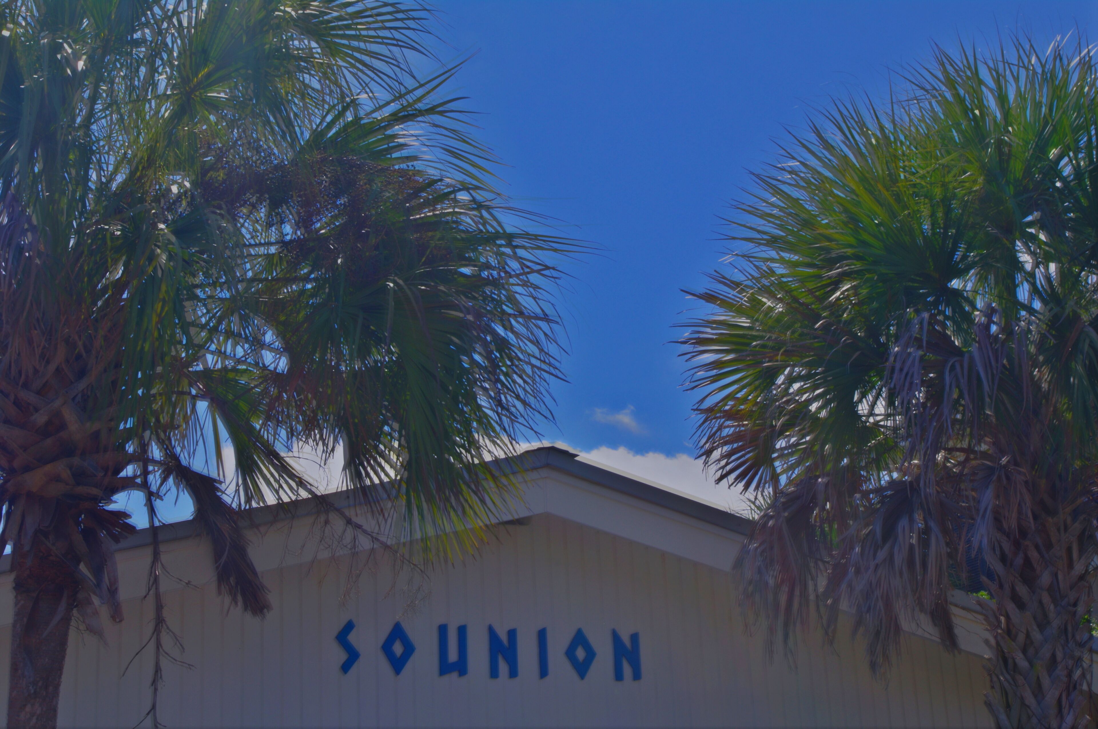 A building with the word "SOUNION" on its facade, surrounded by palm trees.