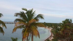 Küstenlandschaft mit Palmen, Strand und einem Steg.