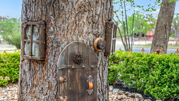 Un árbol con una puerta de madera y una ventana pequeña.