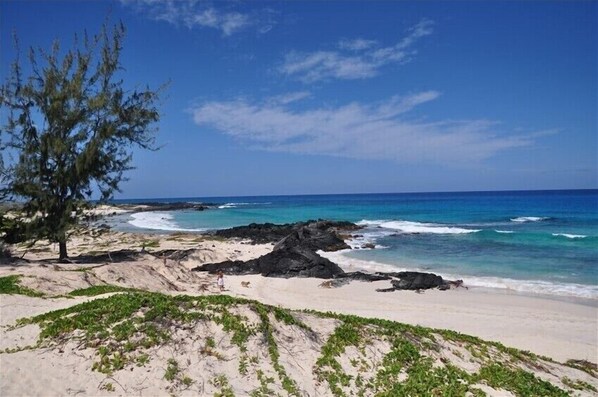 Plage à proximité
