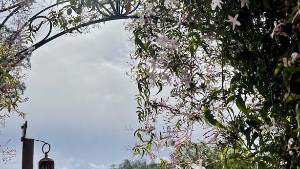 A garden with various plants and flowers, a metal lantern, and a view of a hilly landscape.