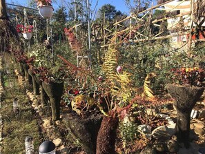 Garden - Homestay Vuon Hong Co (Sa Pa)