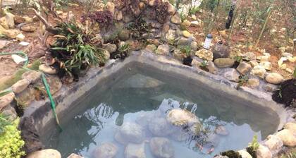 Homestay Vuon Hong Co