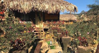 Homestay Vuon Hong Co