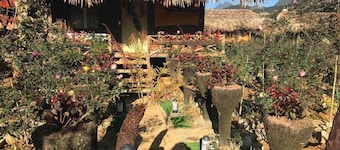 Homestay Vuon Hong Co