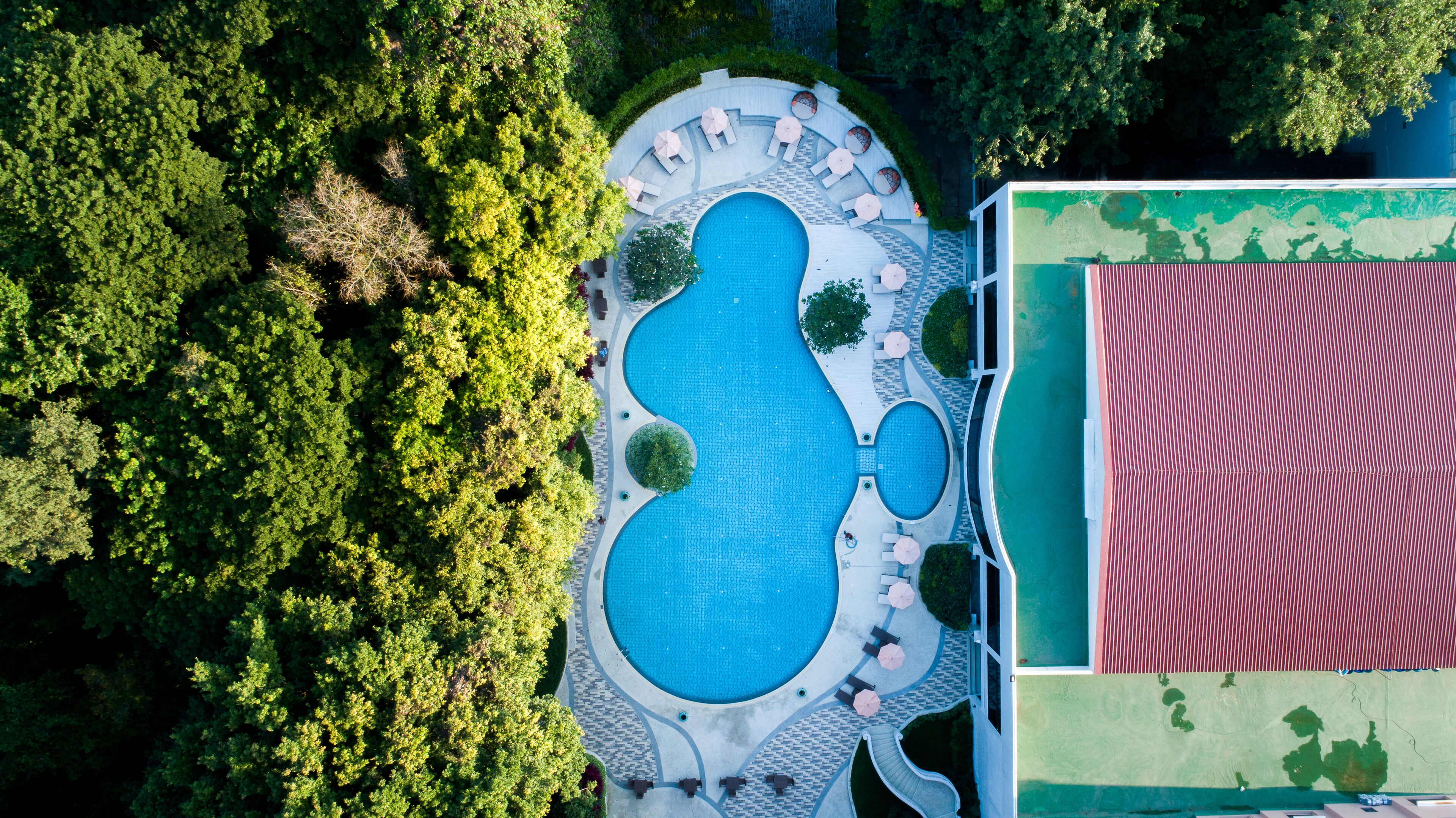 outdoor pool, pool umbrellas, pool loungers