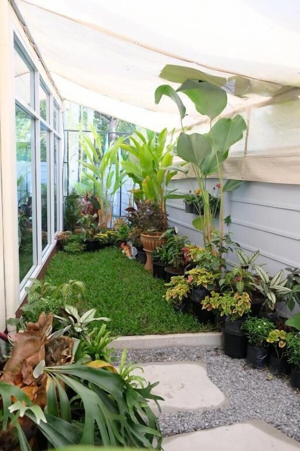 Property grounds - Bees Smile Hotel (Chiang Rai)