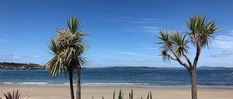 On the beach, sun loungers, beach towels