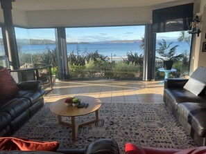 スマートテレビ、暖炉、DVD プレーヤー、書庫