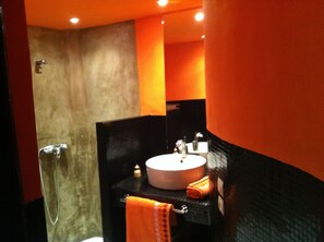 Shower, hair dryer, towels, soap - Riad medina pool hamam massage traditional house (Medina)