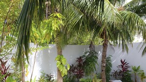 Ein tropischer Garten mit verschiedenen Pflanzen und einer weißen Wand im Hintergrund.