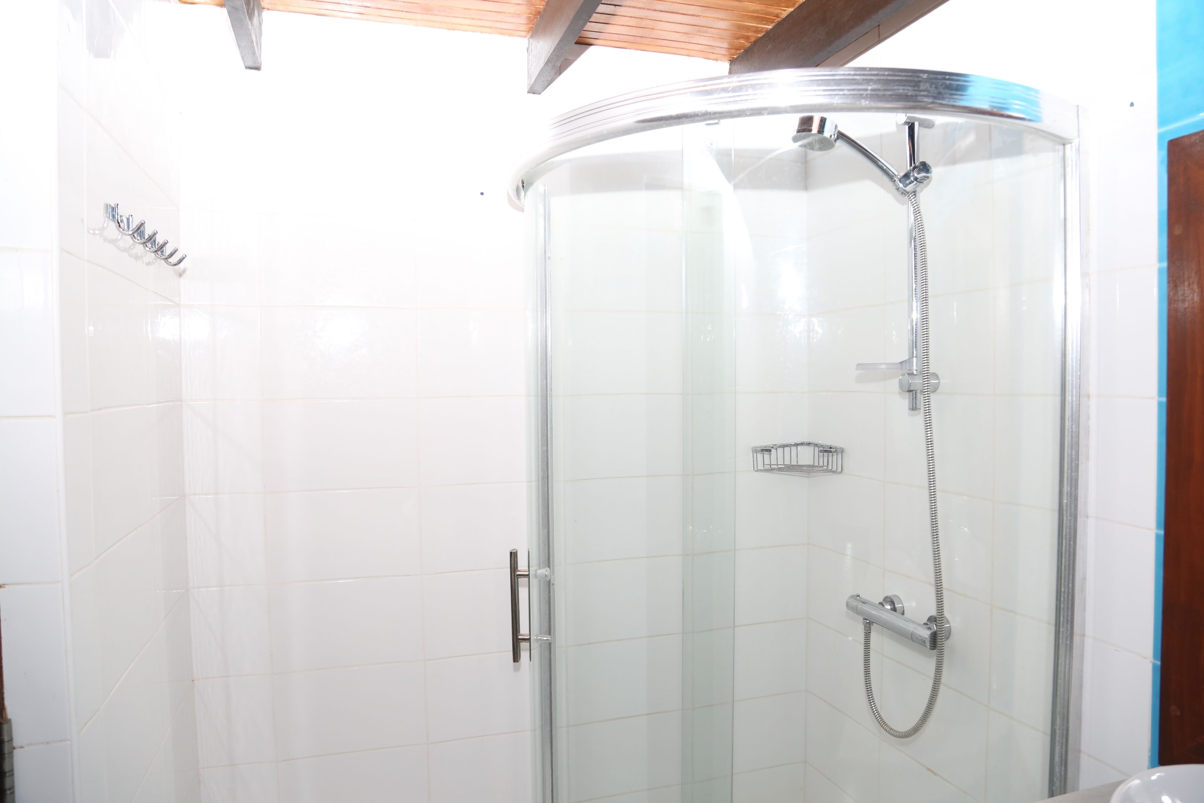 Une douche fermée par des parois de verre, dotée d’un pommeau de douche à main et d’un pommeau de douche fixe, avec des murs recouverts de carreaux blancs et un plafond en bois.