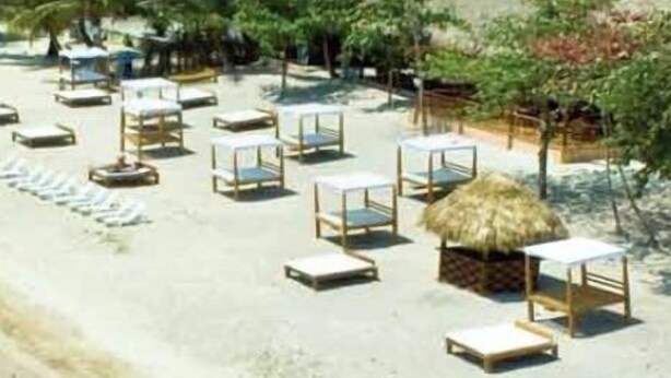 A beachside resort with rows of sun loungers and thatched-roof structures.