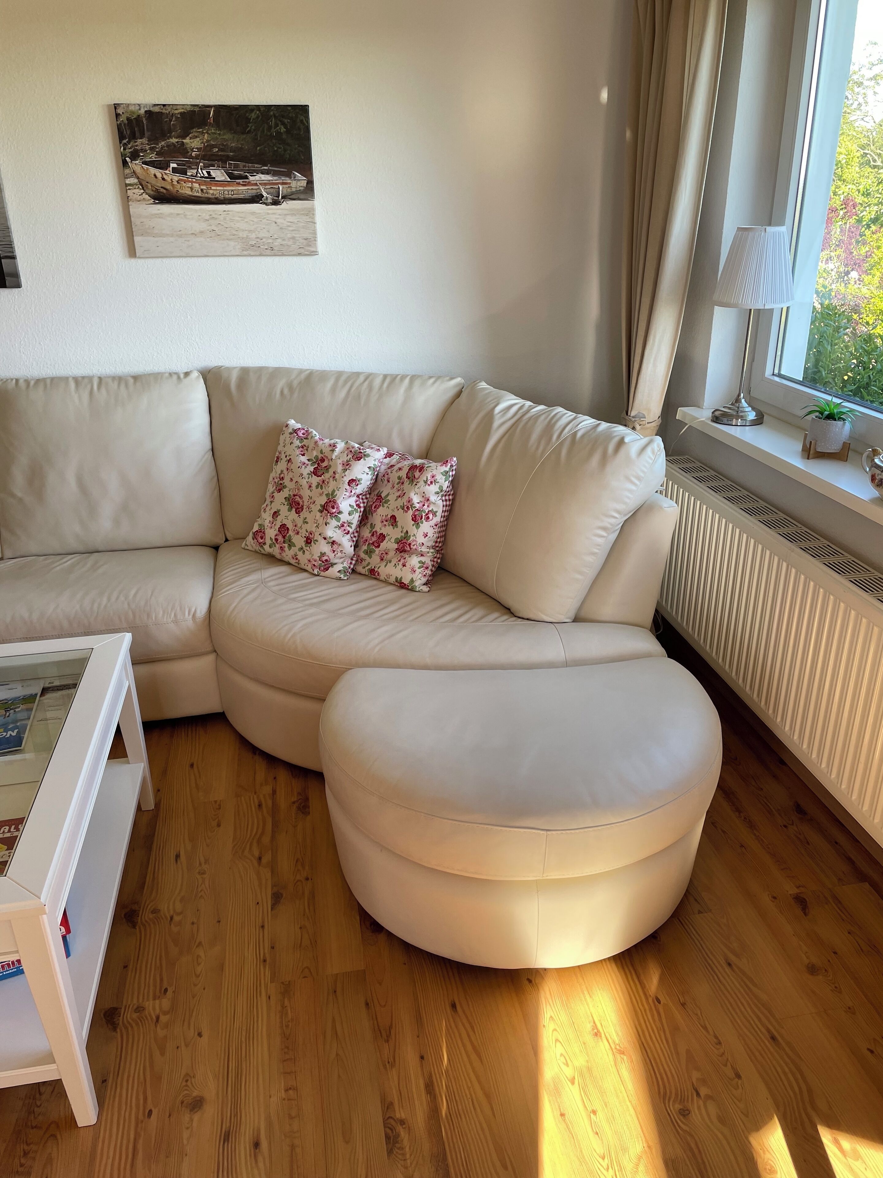 Televisión y libros 