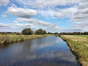 Unclassified image, 3 of 26, button