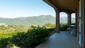 A covered patio with a table and chairs, overlooking a vineyard and mountains.