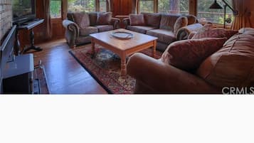 TV, fireplace, DVD player, books