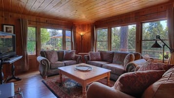 TV, fireplace, DVD player, books