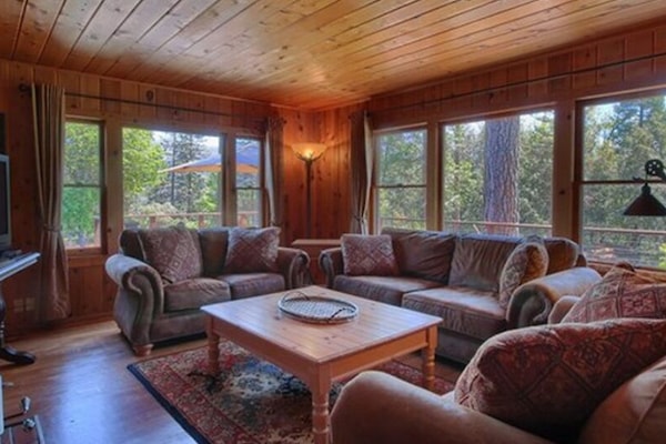 Télévision, cheminée, lecteur de DVD, livres