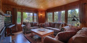 TV, fireplace, DVD player, books