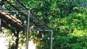 Área da propriedade