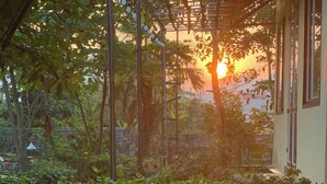 Un espace de restauration en plein air, avec une table dressée offrant une variété de plats, entouré de verdure et avec un coucher de soleil en arrière-plan.