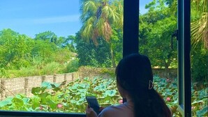 Une personne est assise près d’une fenêtre, d’où l’on peut voir un étang bordé de nénuphars et de palmiers.