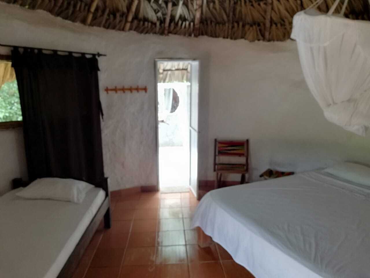 Comfort Triple Room | Bathroom | Shower, free toiletries, towels
