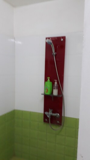 Regadera, amenidades de baño gratuitas, secadora de cabello, pantuflas 