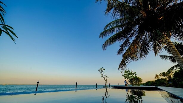 An infinity pool with a clear view of the ocean and palm trees. - Lagoon Bay Negombo (Negombo)