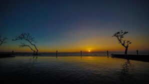 A sunset over a calm body of water with two trees silhouetted against the sky. - Lagoon Bay Negombo (Negombo)