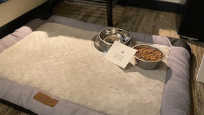A pet bed with a label, a bowl of dog food, and a small table with a book and flowers. - Dawson Lodge (Dawson City)