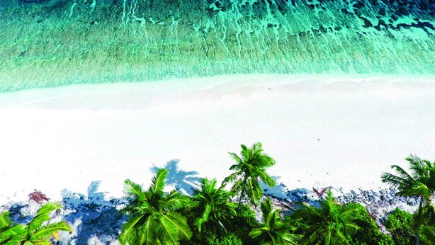 A beach with clear turquoise water and white sand, palm trees in the foreground.