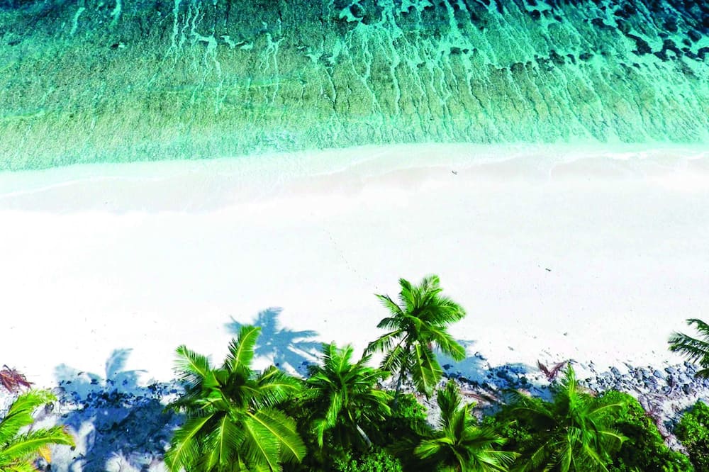 Calyx Grand Fuvahmulah