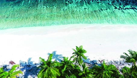 Exterior. Calyx Grand Fuvahmulah