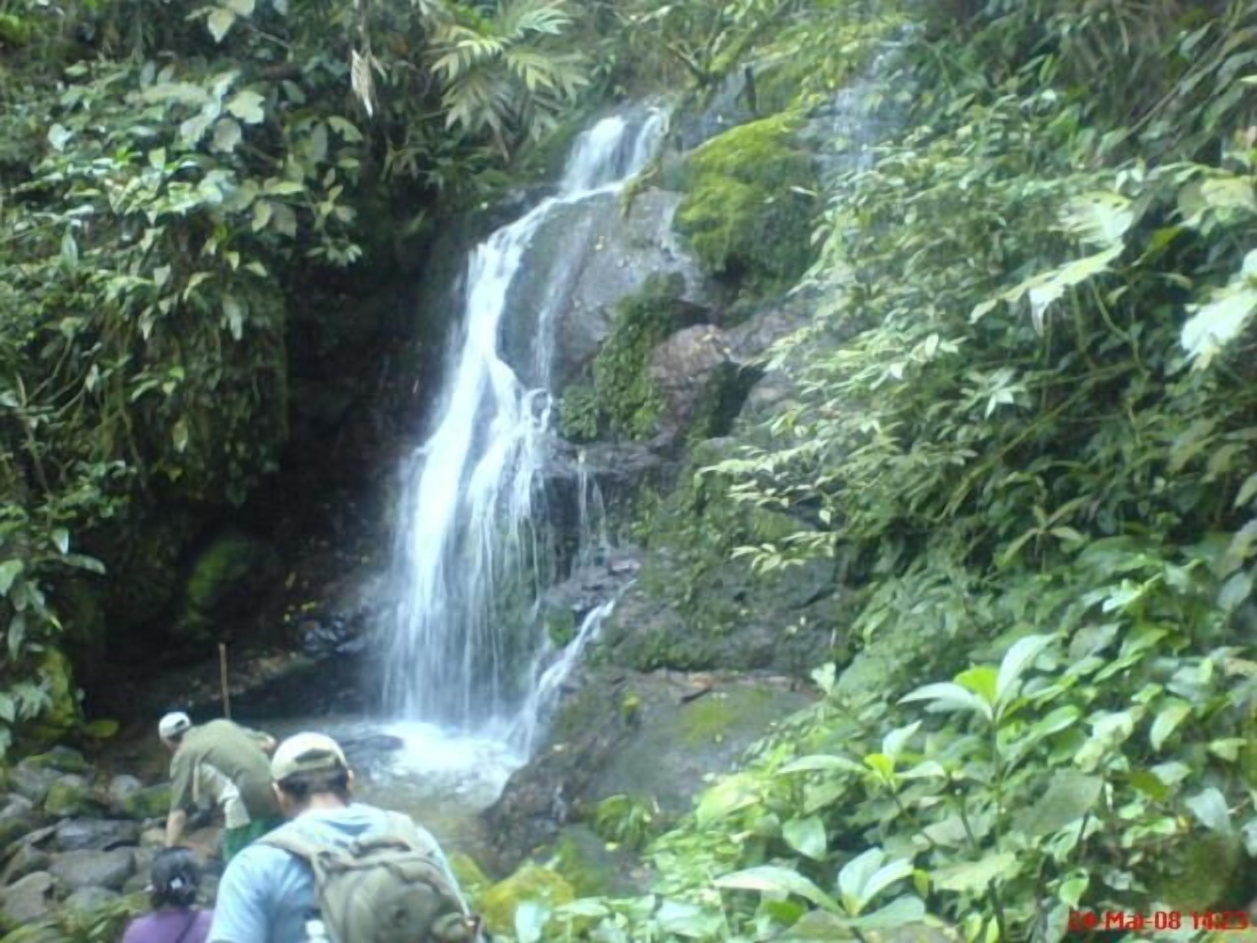 Uma cascata cercada por vegetação densa.