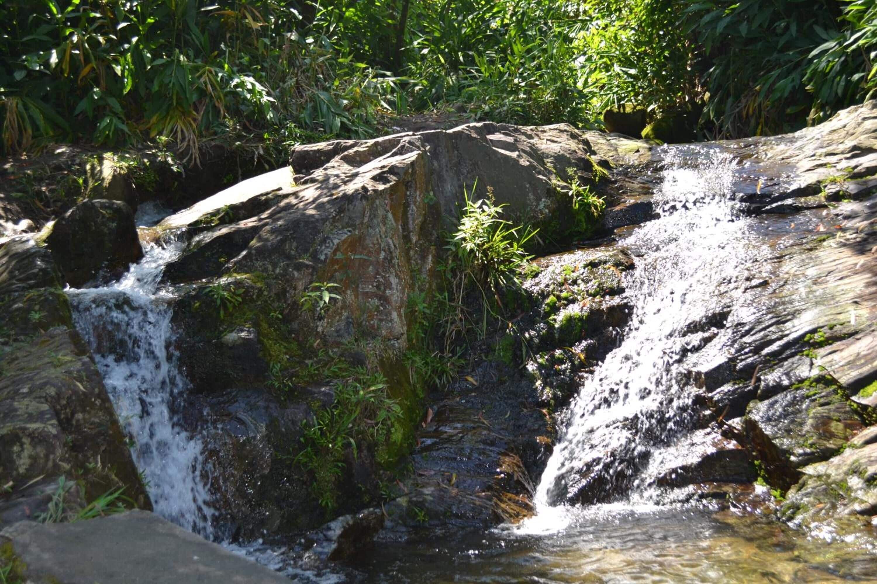 A small waterfall cascading over rocks in a forested area.