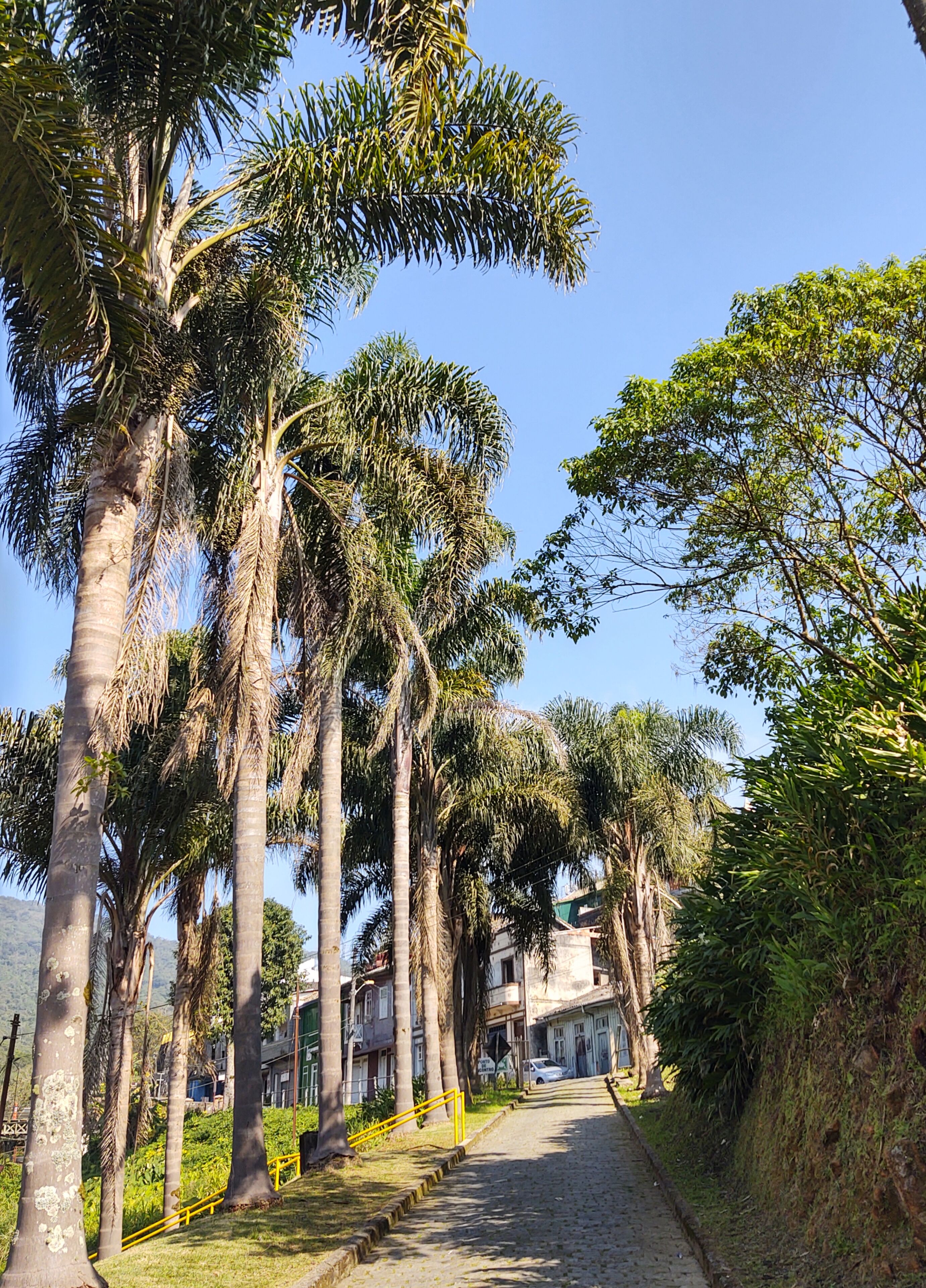 Foto - Pousada Shamballah Paranapiacaba