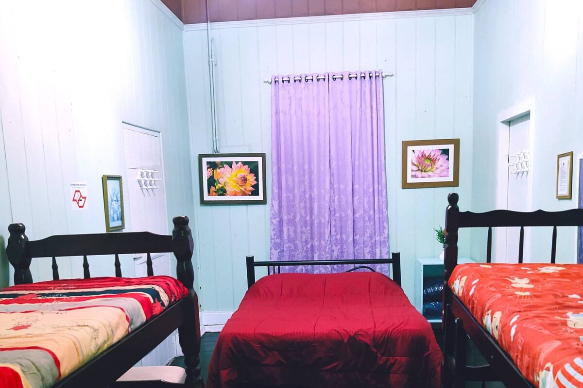 A room with two single beds, a wooden ceiling, a purple curtain, and two framed pictures on the walls.