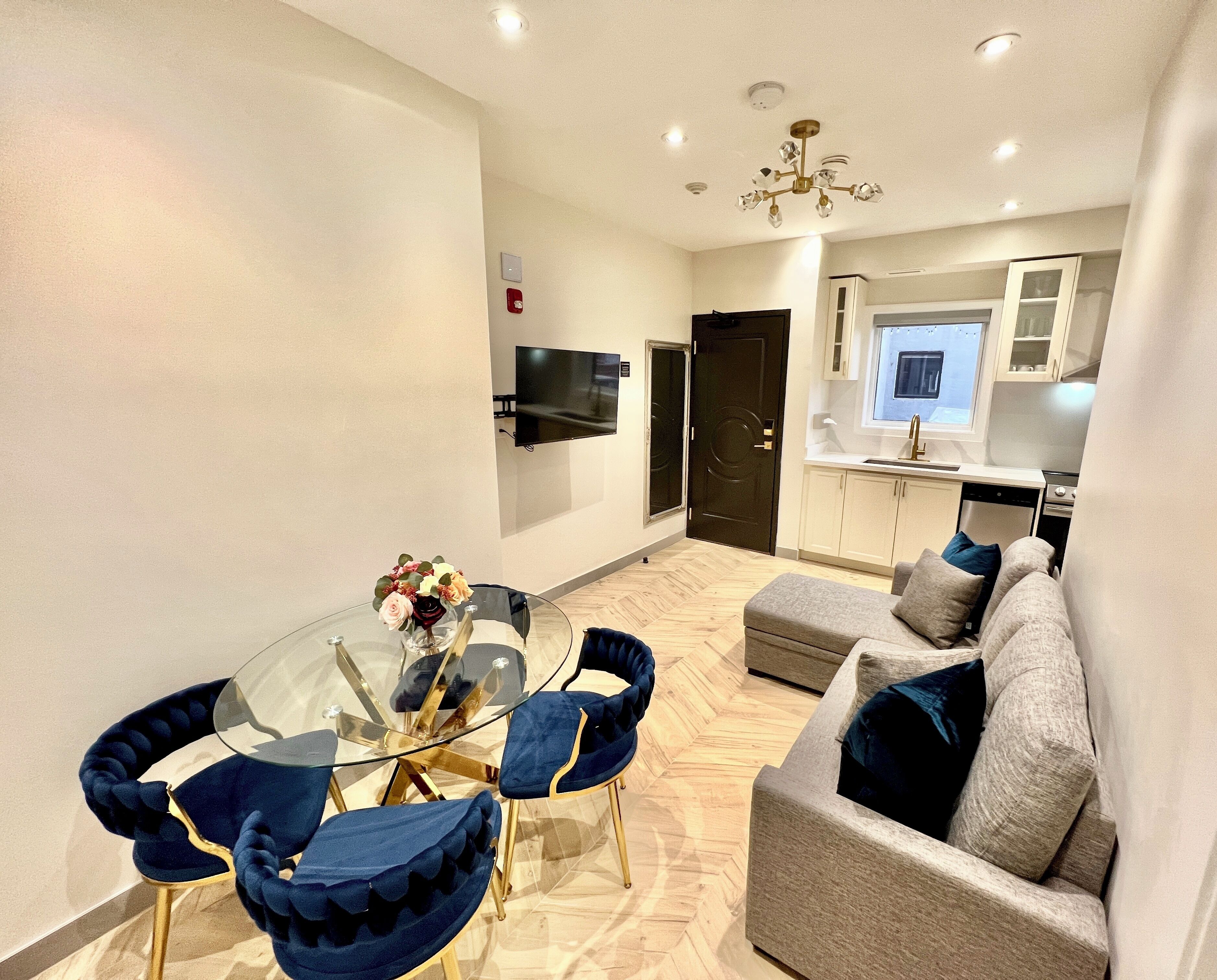 Luxury Apartment, Multiple Beds, Non Smoking (Newly Renovated) | 각각 다르게 가구 비치, 다리미/다리미판, 무료 WiFi, 침대 시트