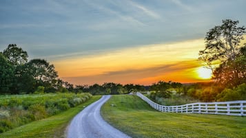 Façana frontal de l'allotjament (vespre/nit)