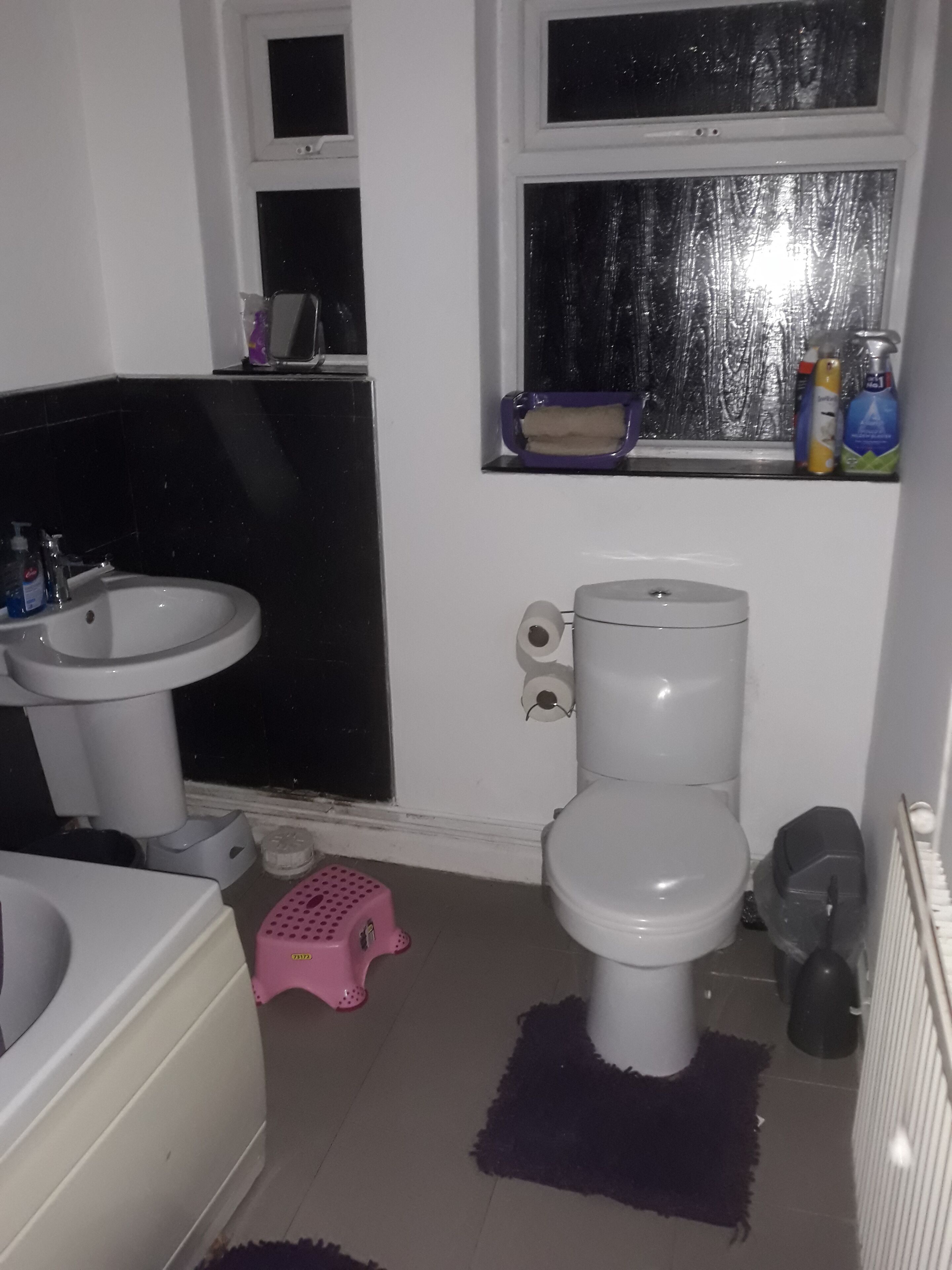 Combined shower/bathtub, toilet paper