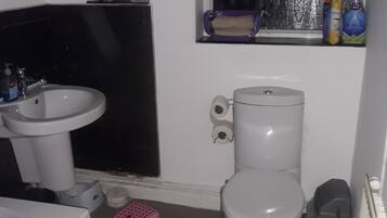 Combined shower/tub, toilet paper