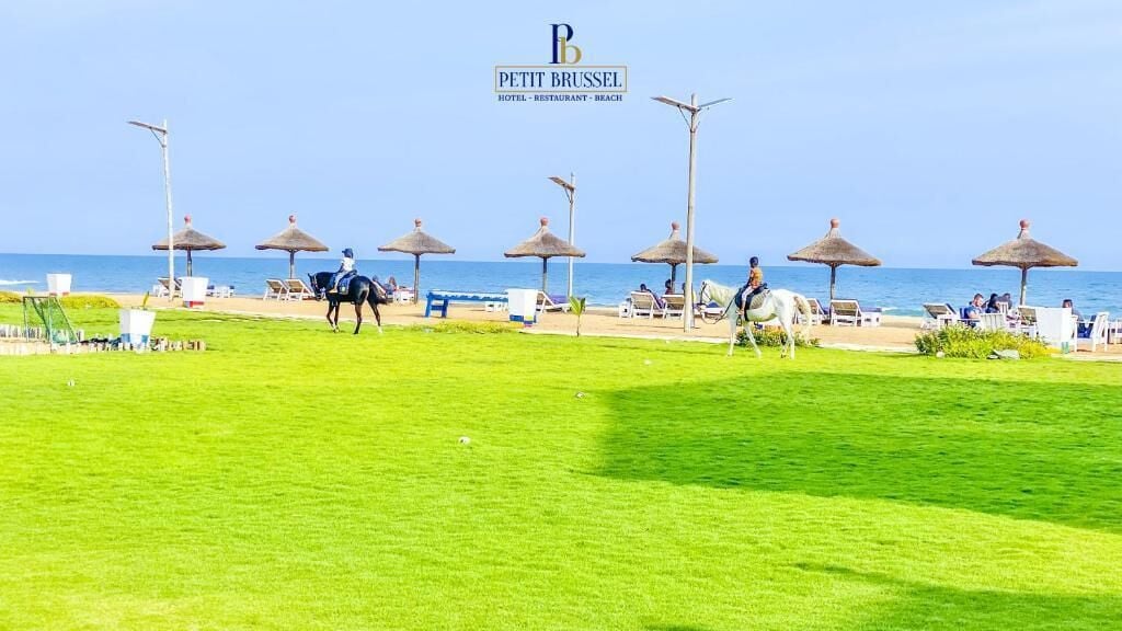 A beach area with umbrellas, lounge chairs, and a horse.