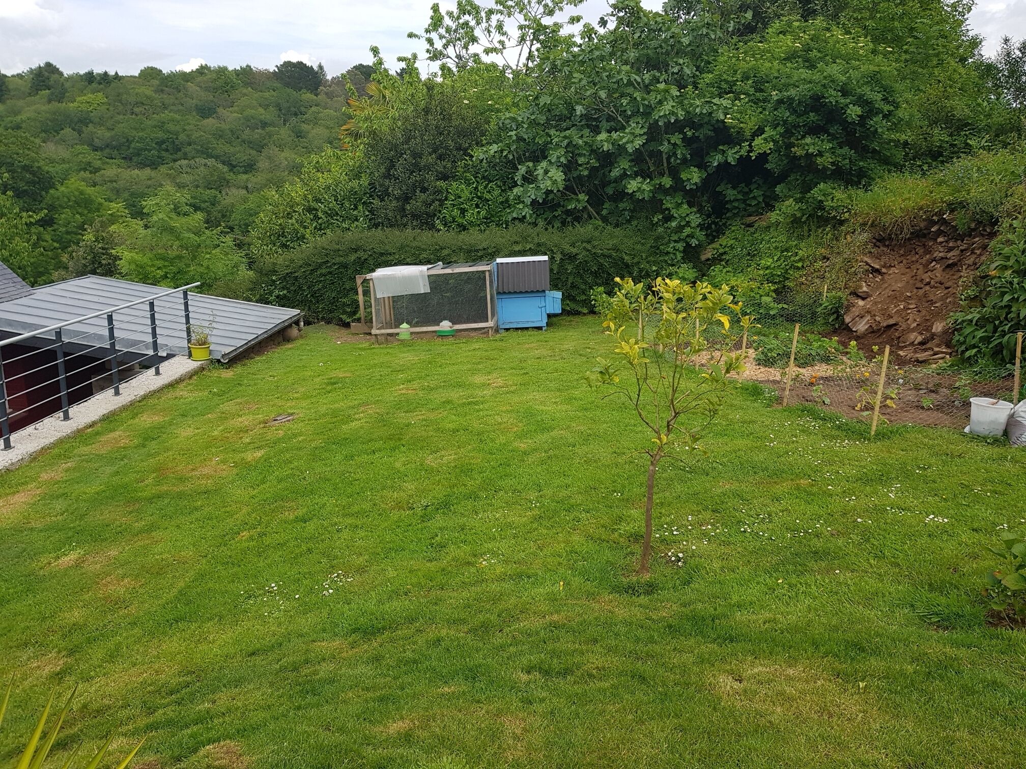 A grassy yard with a small tree, a blue shed, and a solar panel array.