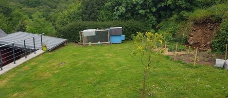 A grassy yard with a small tree, a blue shed, and a solar panel array.