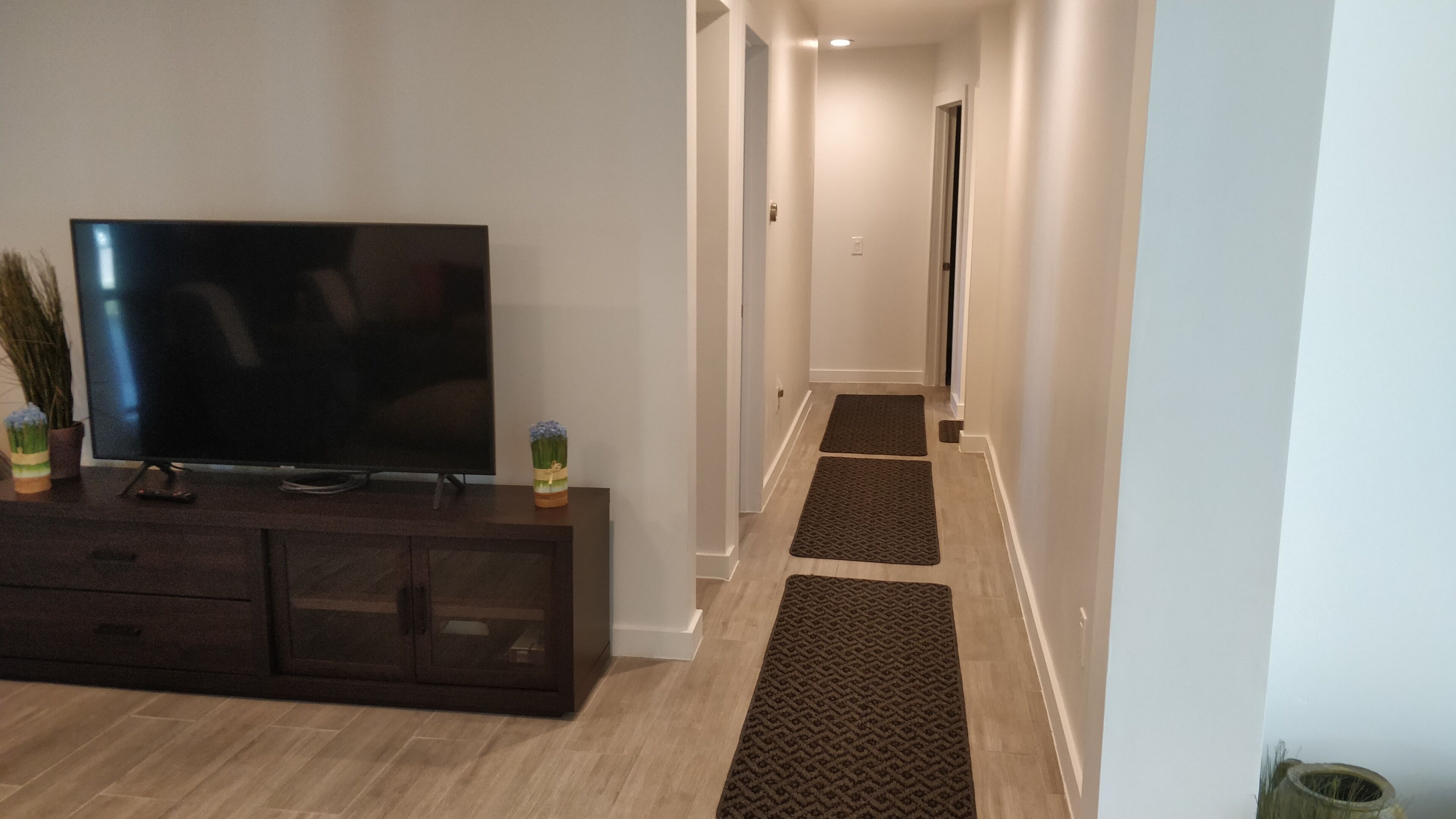 A modern living room with a flat-screen TV on a dark wooden cabinet, a small plant, and a decorative vase. A hallway with wooden flooring and dark mats leads to a door.